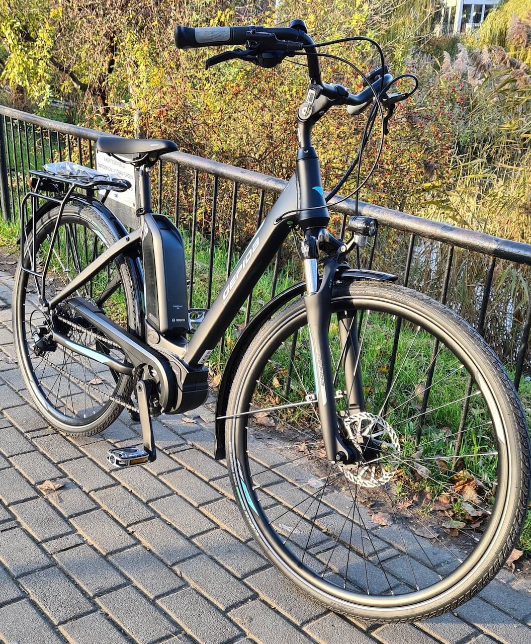 gepida ebike berles reptila 1000