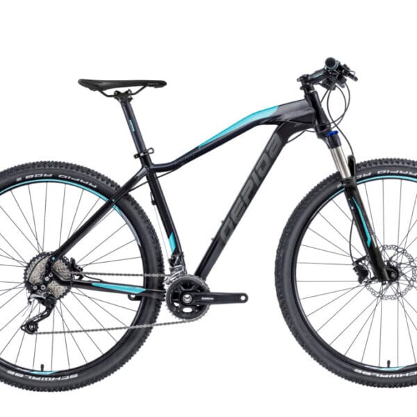 Gepida Asgard 29" 12S MTB kerékpár